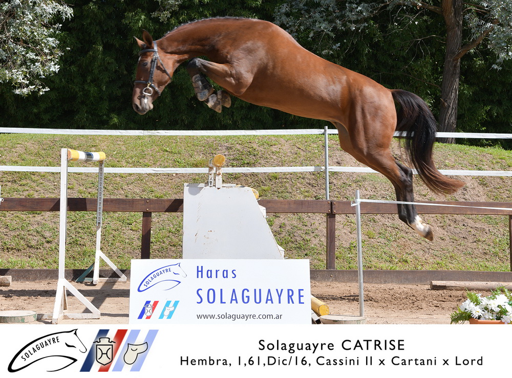 SOLAGUAYRE CATRISSE